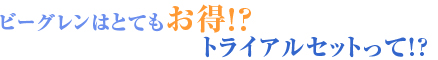 �r�[�O�������ʂ͂��낢��